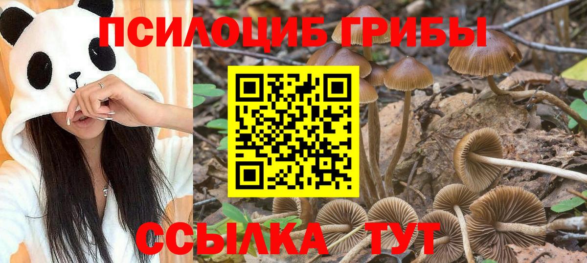 Псилоцибиновые грибы ЛСД  Галлюциногенные грибы мицелий  Котельники  Вход с VPN 