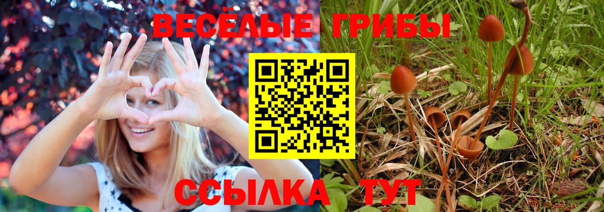 Псилоцибиновые грибы GOLDEN TEACHER Котельники